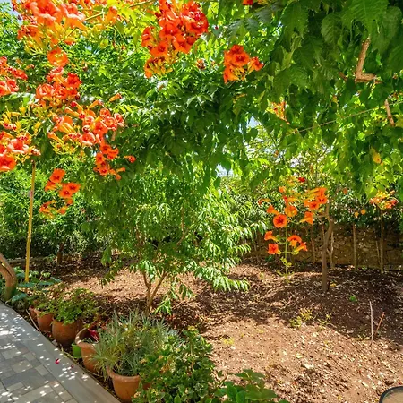Appartamento Captain Spiros Casa Nuova 2,3 *